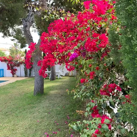 La Casita Bianca *